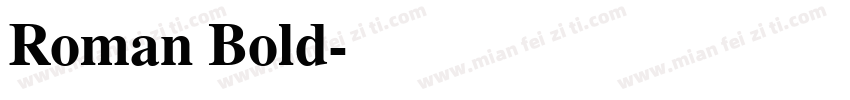 Roman Bold字体转换